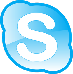 история skype