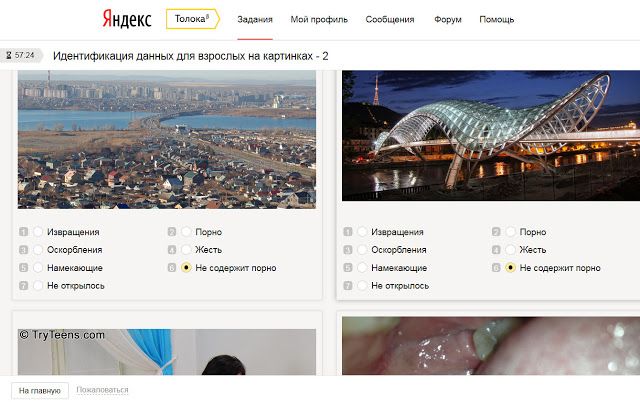 Идентификация данных «для взрослых» в «Яндекс.Толоке»
