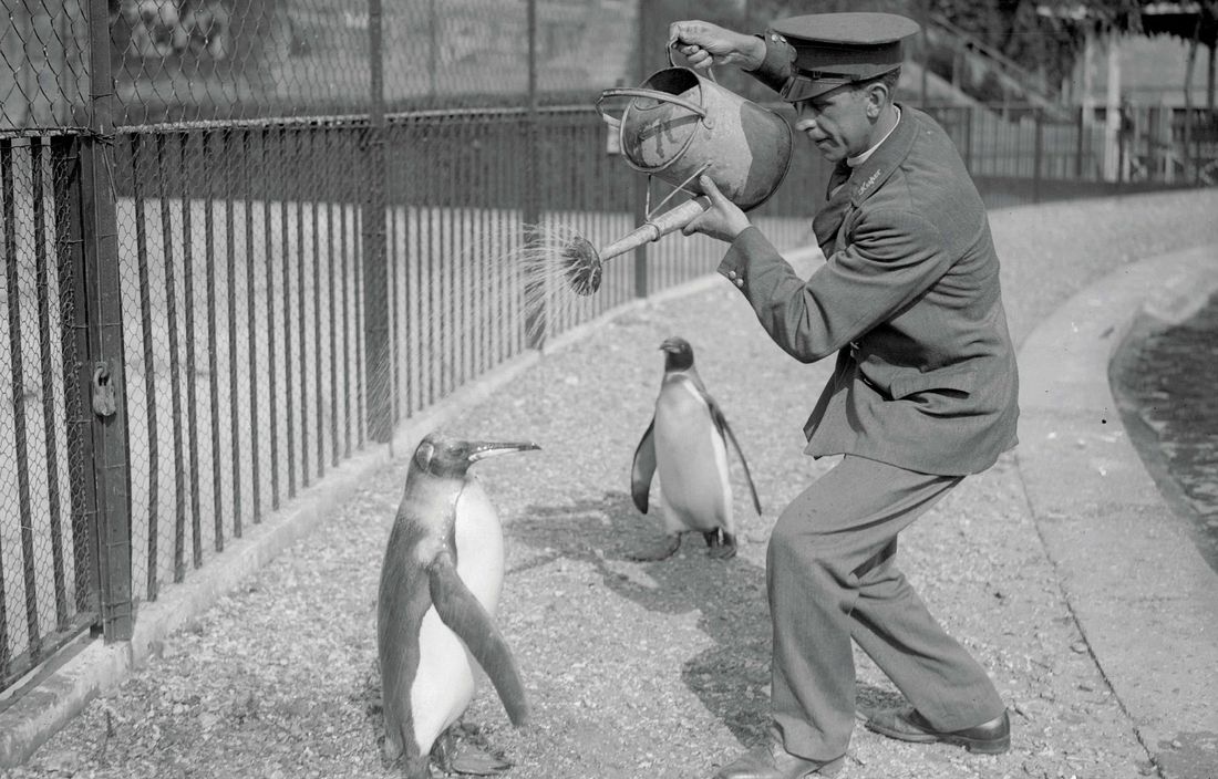 «Пингвин» передаёт фильтры по 301-му редиректу